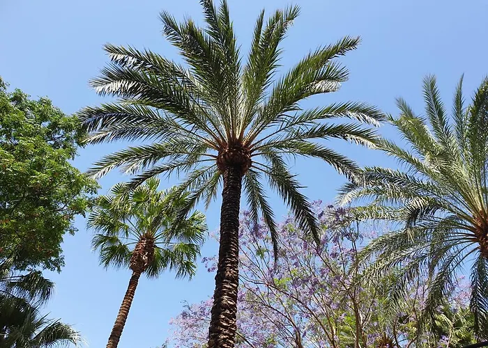 Lejlighed Apartamento Goleta 10 Torrevieja